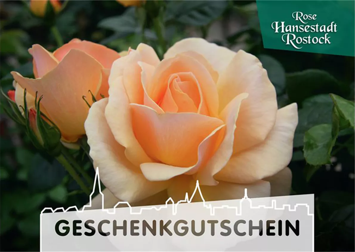 VERSAND GUTSCHEIN VERSAND GUTSCHEIN