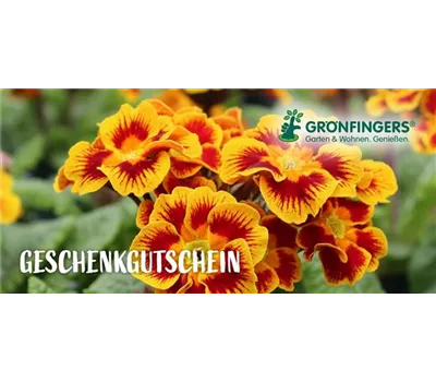 GUTSCHEIN ZUM AUSDRUCKEN