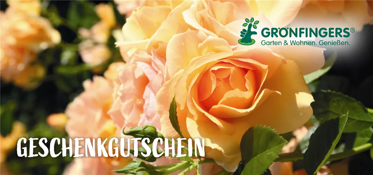 GUTSCHEIN ZUM AUSDRUCKEN GUTSCHEIN ZUM AUSDRUCKEN