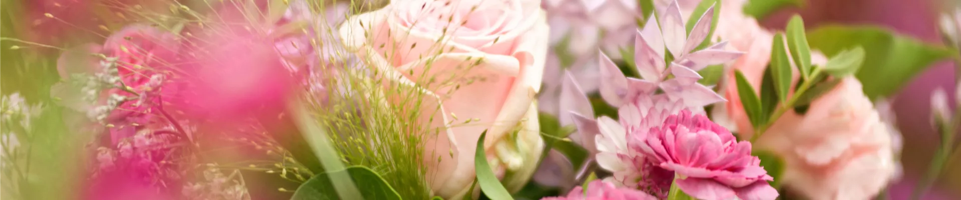 Herbst_Abteilung_Bildart_Pflanzenname_4658_high.jpg Herbst_Abteilung_Bildart_Pflanzenname_4658_high.jpg