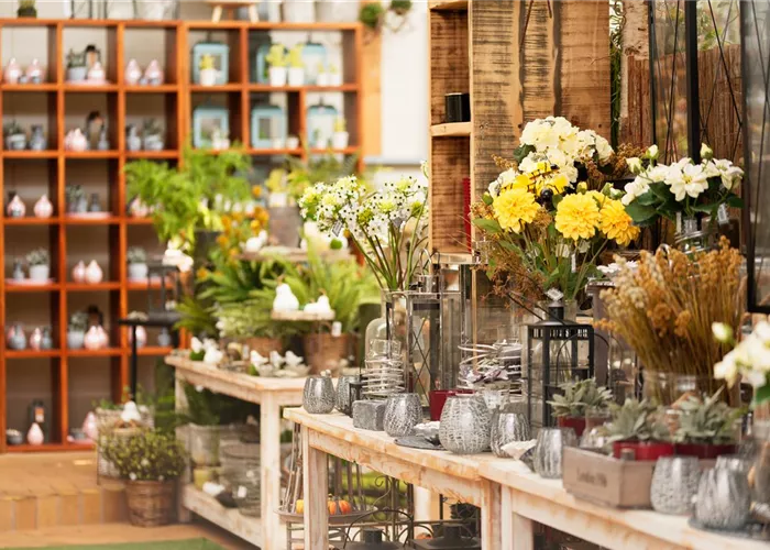 Verkaufskraft (w/m/d) in unseren Abteilungen Wohnambiente und Kasse 