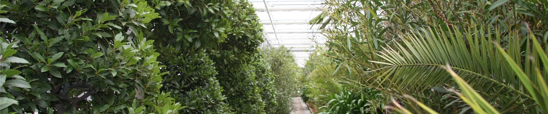 IMG_5708.JPG IMG_5708.JPG