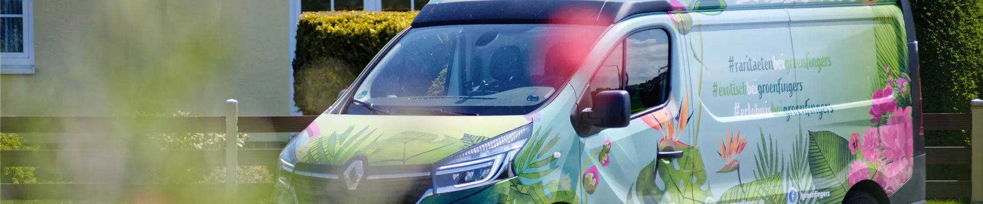 Sommer_Abteilung_Bildart_Pflanzenname_0057_high.jpg Sommer_Abteilung_Bildart_Pflanzenname_0057_high.jpg