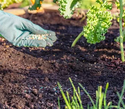 Dünger ist nicht gleich Dünger Dünger ist nicht gleich Dünger