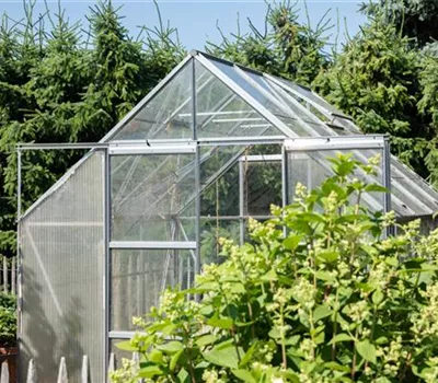 Ein Gewächshaus anlegen Ein Gewächshaus anlegen