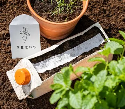 Saatscheiben und -bänder selber herstellen Saatscheiben und -bänder selber herstellen