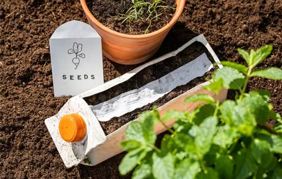 Saatscheiben und -bänder selber herstellen Saatscheiben und -bänder selber herstellen