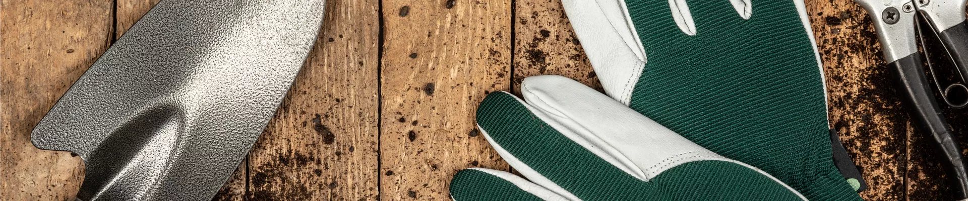 GS658062.jpg GS658062.jpg