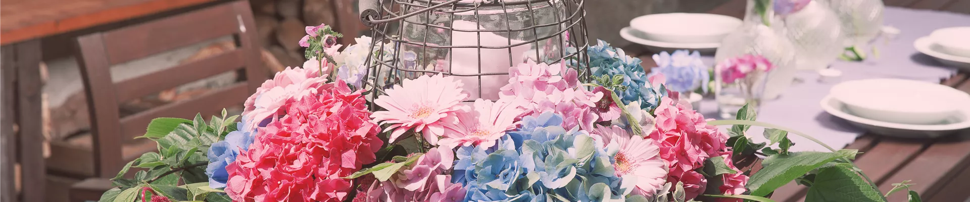 GS495370.jpg GS495370.jpg