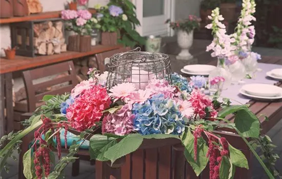 Blätter, Kräuter und Co. - die unterschätzten Bereicherungen Blätter, Kräuter und Co. - die unterschätzten Bereicherungen