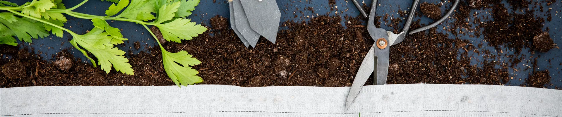 GS661961.jpg GS661961.jpg