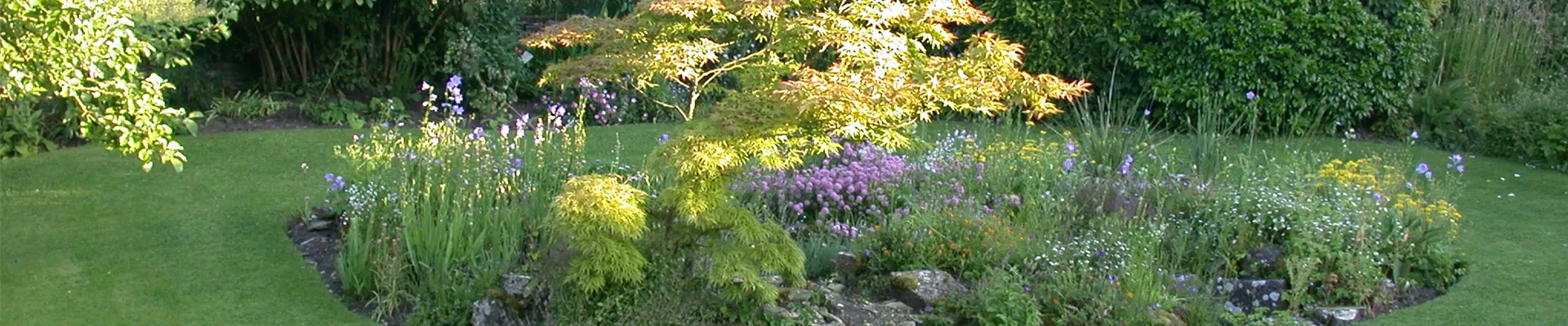 GS616289.jpg GS616289.jpg