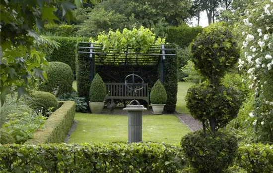 Auf die Form gekommen – Formgehölze im Garten Auf die Form gekommen – Formgehölze im Garten