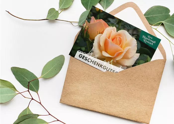 Gutscheine für Grönfingers Gutscheine für Grönfingers