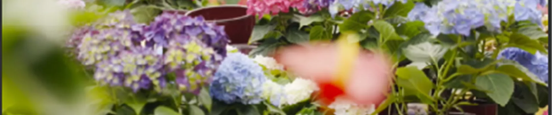 Screenshot 2023-01-05 12.27.02.png Screenshot 2023-01-05 12.27.02.png