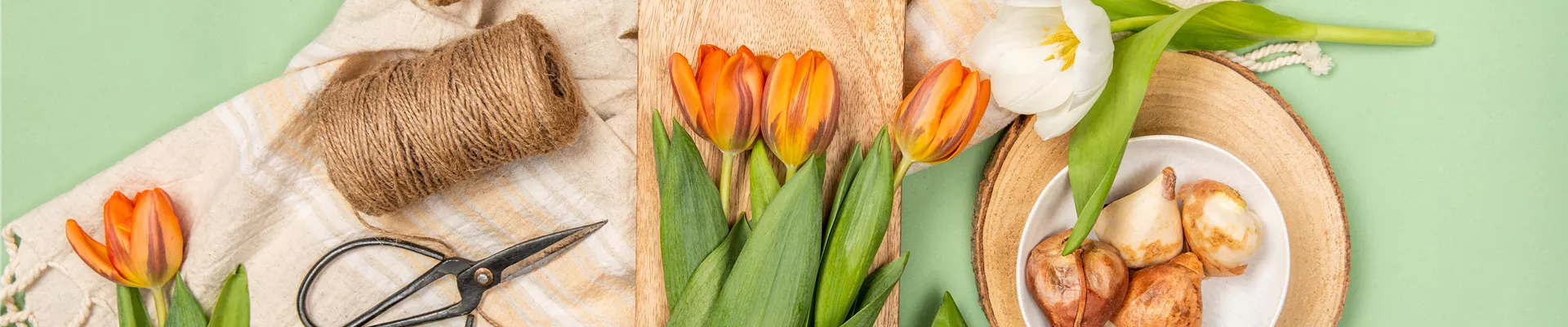 GS702498_Frühling - Tulpen im Ambiente_.jpg GS702498_Frühling - Tulpen im Ambiente_.jpg