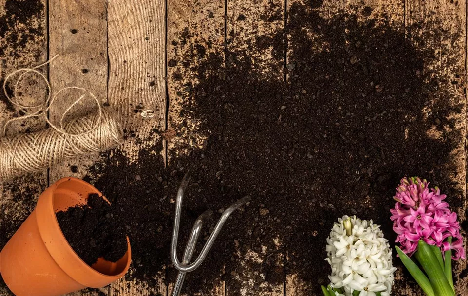 GS658071_Gartenwerkzeuge, Erde, Hyazinthen_.jpg