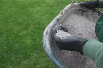 Rasen - Schnitt und Pflege