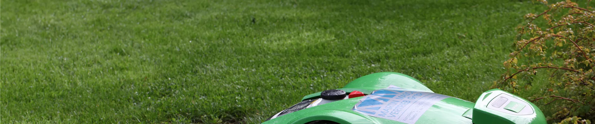 GS428484.jpg GS428484.jpg