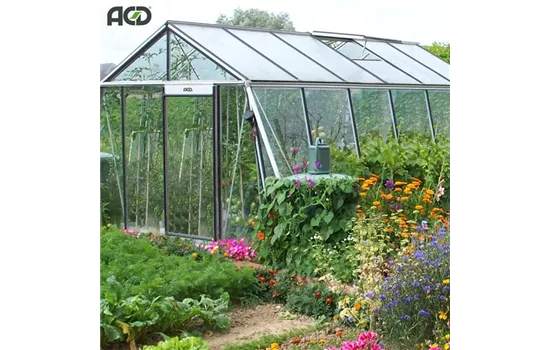 Aktions-Gewächshaus S106 ALU Aktions-Gewächshaus S106 ALU