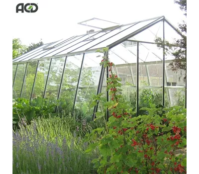 Aktions-Gewächshaus S208 ALU
