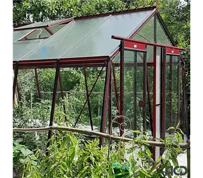 Gewächshaus Schräg-S2 RAL Farbe <3,80 m>
