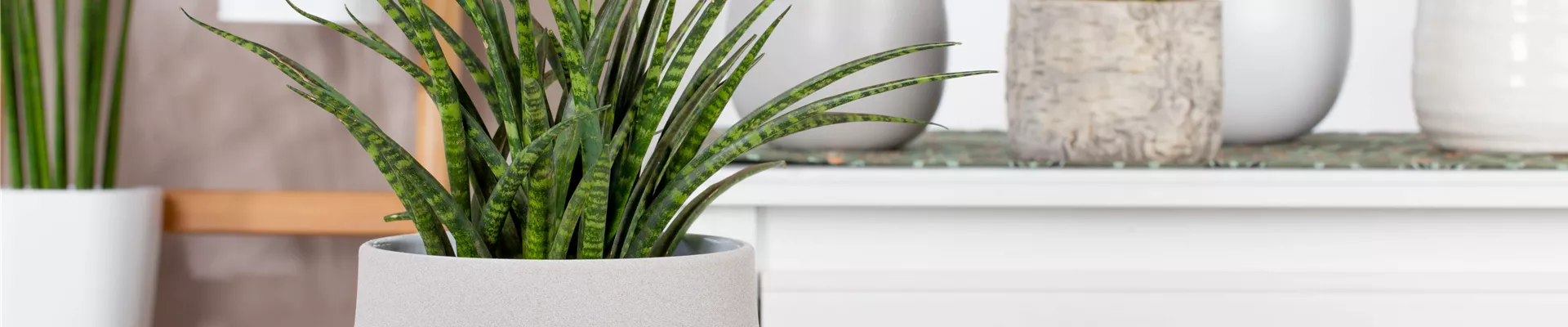 GS523902.jpg GS523902.jpg