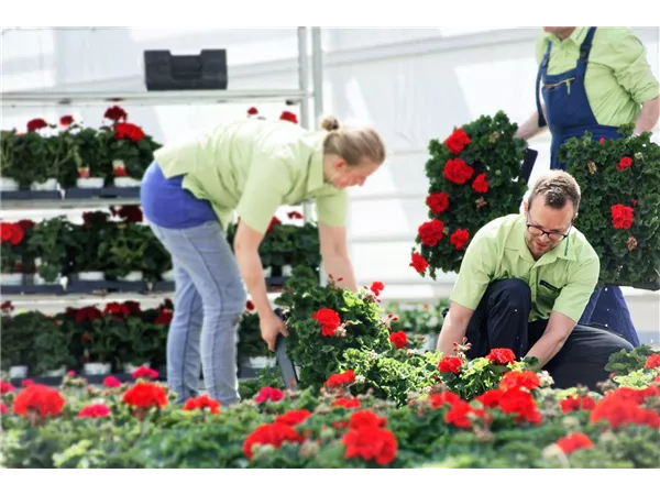 Gärtner (w/m/d) Gärtnerische Produktion