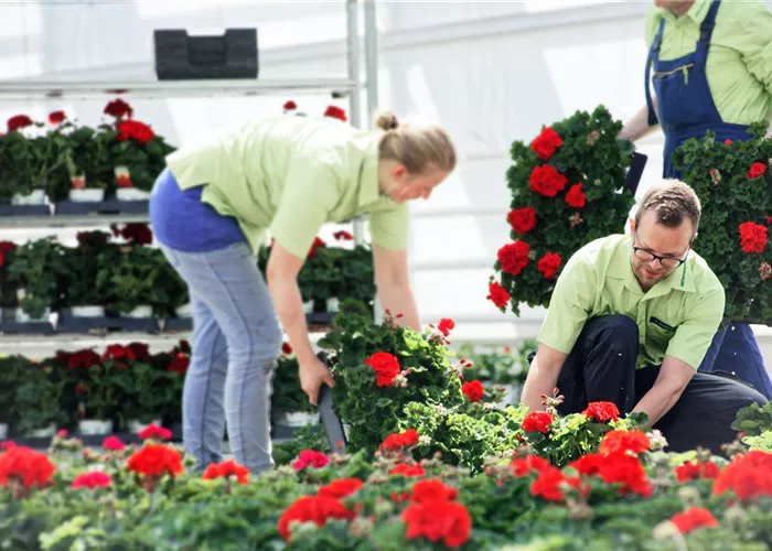 Gärtner (w/m/d) Gärtnerische Produktion Gärtner (w/m/d) Gärtnerische Produktion