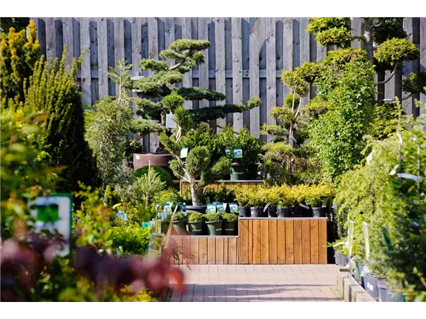 Gärtner (w/m/d) Baumschule und Stauden