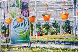 GRÖNIS FRÜHLINGSERWACHEN: Startet mit uns in die neue Gartensaison!