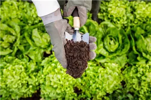 GRÖNIS BERATERTAGE: Bodentestaktion