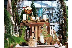 Adventsschau - Täglich frisch gefertigte Adventsfloristik