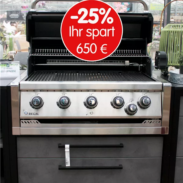 BroilKing Gasgrill Regal 570 Built-In