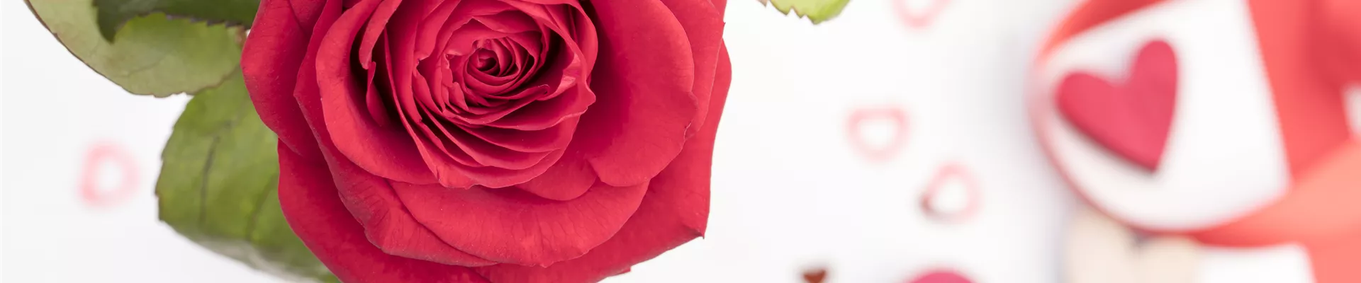 GS526276.jpg GS526276.jpg