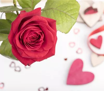 Der Valentinstag und seine Geschichte Der Valentinstag und seine Geschichte