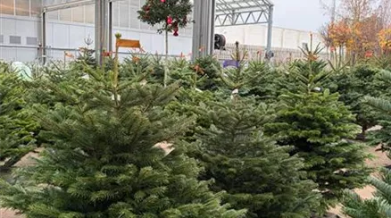 WhatsApp Image 2025-12-19 at 12.40.25(1).jpeg