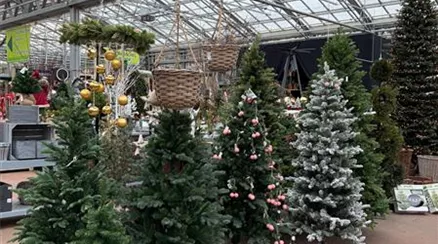 WhatsApp Image 2025-12-19 at 12.40.24(6).jpeg