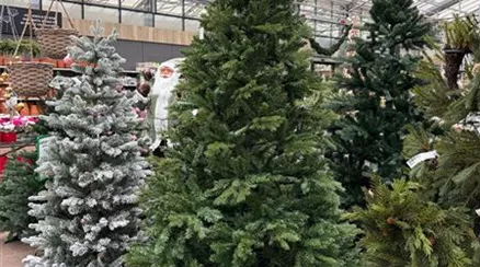 WhatsApp Image 2025-12-19 at 12.40.24(1).jpeg