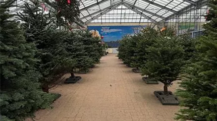 WhatsApp Image 2025-12-19 at 12.40.25(5).jpeg