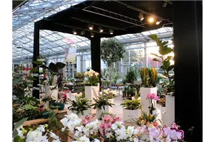 DSCHUNGELWOCHEN mit großer Orchideenschau