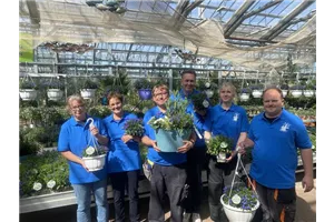 START IN DIE SOMMERSAISON: Pflanze des Jahres im Norden 2026