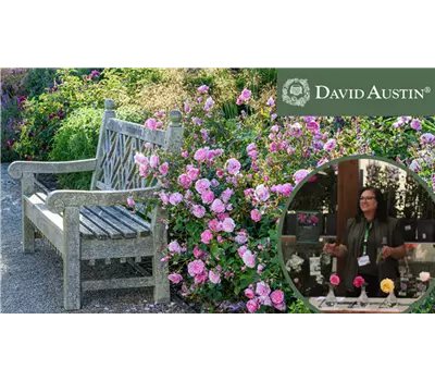 Gartengestaltung