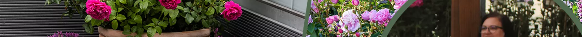 Teaser_Urban Gardening.png