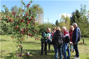 11 Uhr FÜHRUNG über unsere Obstwiese