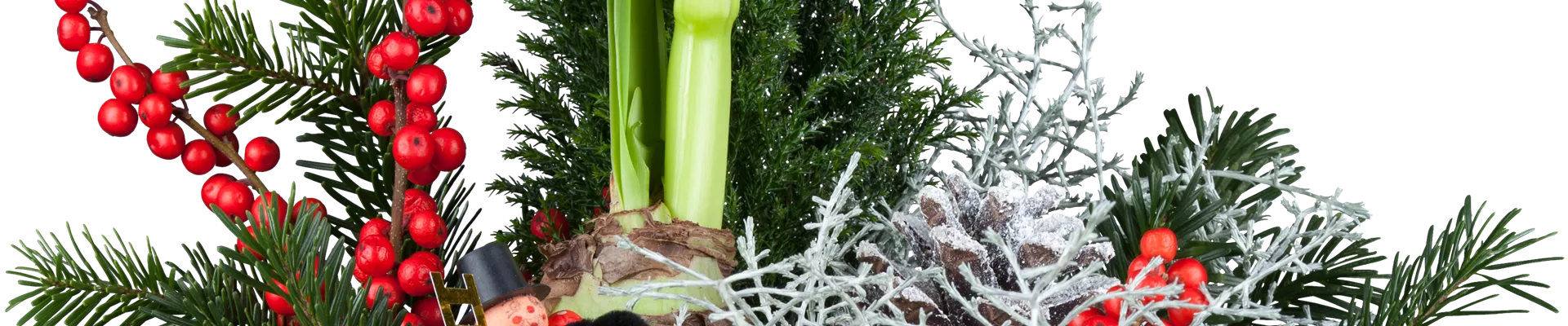 GS425929.png GS425929.png