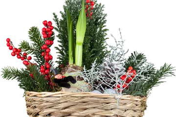 Weihnachtliche Stimmung im Garten