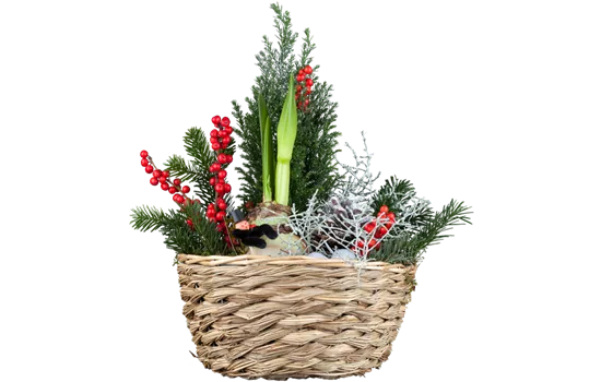 Weihnachtliche Stimmung im Garten Weihnachtliche Stimmung im Garten