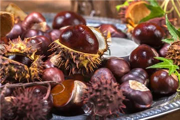 Die Haustür als Visitenkarte – Ideen für die herbstliche Dekoration Die Haustür als Visitenkarte – Ideen für die herbstliche Dekoration