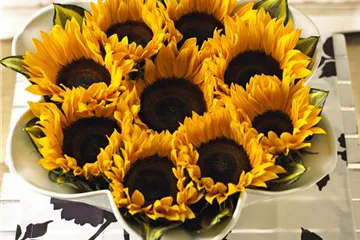 Der goldene Herbst wird bunt: die Top 8 der Herbstblumen